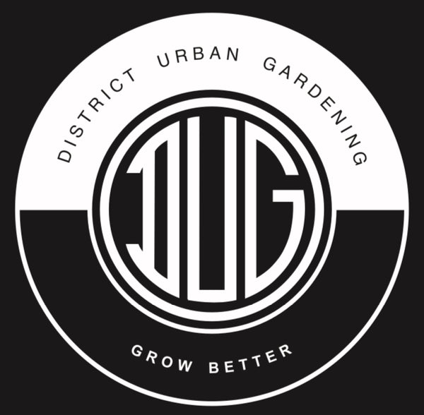 District Urban Gardening